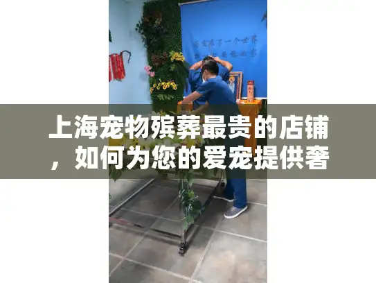上海宠物殡葬最贵的店铺，如何为您的爱宠提供奢华告别服务？