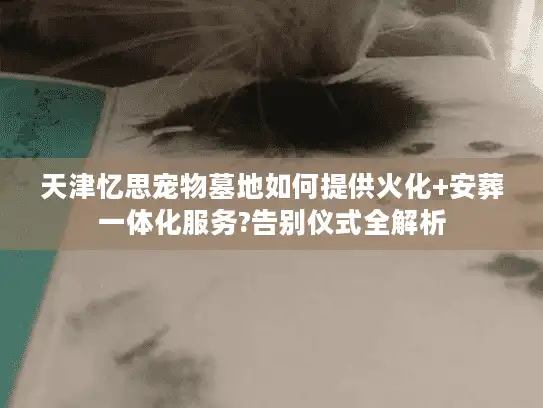 天津忆思宠物墓地如何提供火化+安葬一体化服务?告别仪式全解析