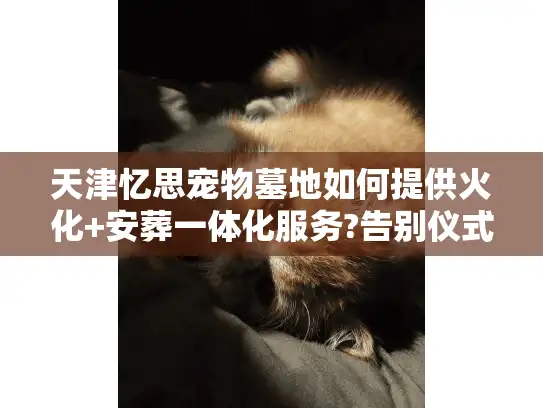 天津忆思宠物墓地如何提供火化+安葬一体化服务?告别仪式全解析