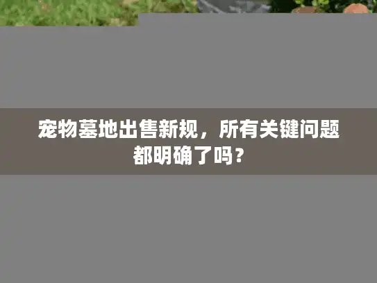 宠物墓地出售新规，所有关键问题都明确了吗？