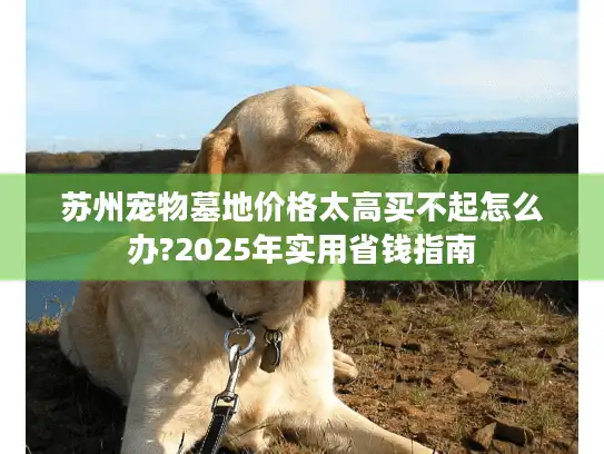 苏州宠物墓地价格太高买不起怎么办?2025年实用省钱指南