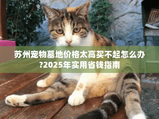 苏州宠物墓地价格太高买不起怎么办?2025年实用省钱指南