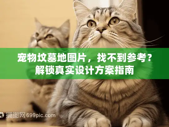 宠物坟墓地图片，找不到参考？解锁真实设计方案指南