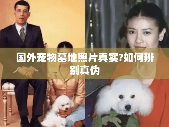 国外宠物墓地照片真实?如何辨别真伪