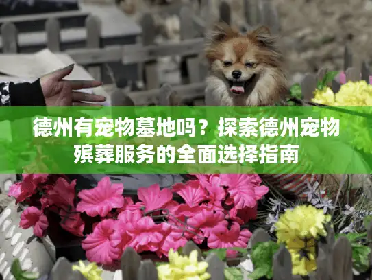 德州有宠物墓地吗？探索德州宠物殡葬服务的全面选择指南