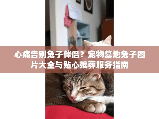 心痛告别兔子伴侣？宠物墓地兔子图片大全与贴心殡葬服务指南