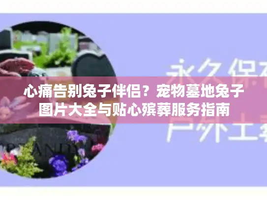 心痛告别兔子伴侣？宠物墓地兔子图片大全与贴心殡葬服务指南
