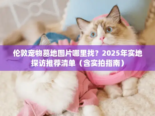 伦敦宠物墓地图片哪里找？2025年实地探访推荐清单（含实拍指南）