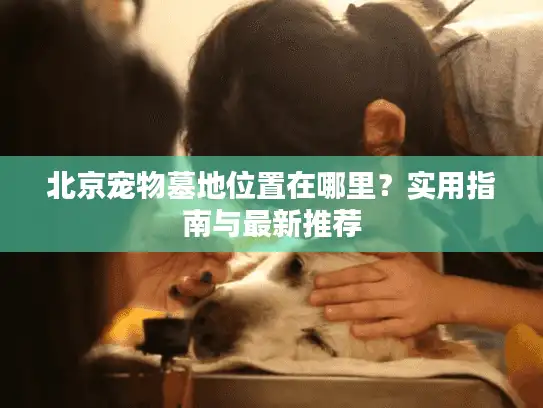 北京宠物墓地位置在哪里？实用指南与最新推荐