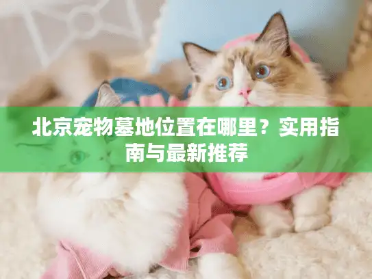 北京宠物墓地位置在哪里？实用指南与最新推荐
