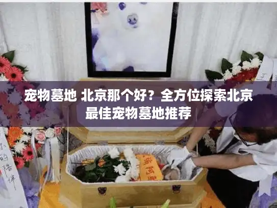宠物墓地 北京那个好？全方位探索北京最佳宠物墓地推荐