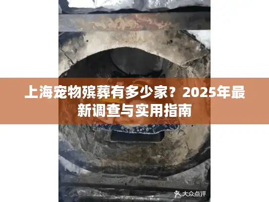 上海宠物殡葬有多少家？2025年最新调查与实用指南