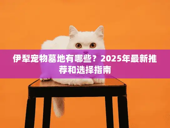 伊犁宠物墓地有哪些？2025年最新推荐和选择指南