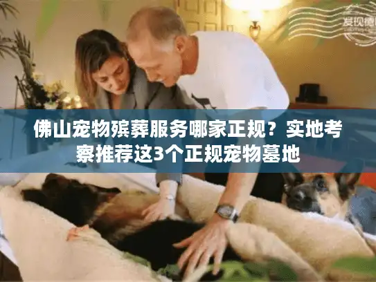 佛山宠物殡葬服务哪家正规？实地考察推荐这3个正规宠物墓地