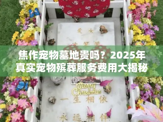 焦作宠物墓地贵吗？2025年真实宠物殡葬服务费用大揭秘