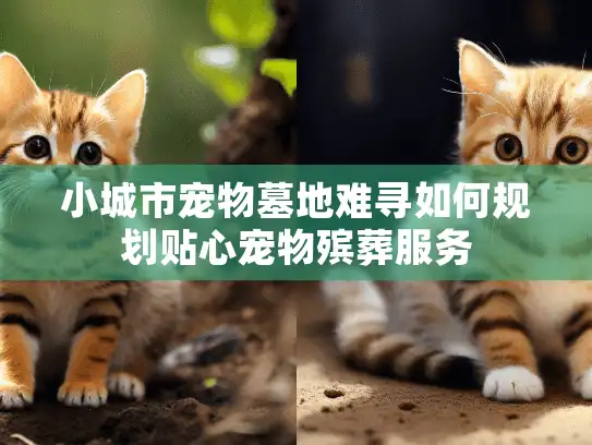 小城市宠物墓地难寻如何规划贴心宠物殡葬服务
