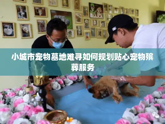小城市宠物墓地难寻如何规划贴心宠物殡葬服务