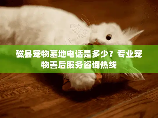 磁县宠物墓地电话是多少？专业宠物善后服务咨询热线