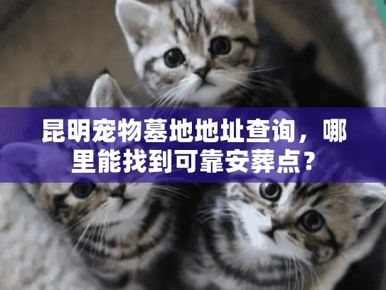 昆明宠物墓地地址查询，哪里能找到可靠安葬点？