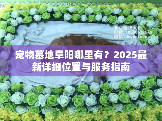 宠物墓地阜阳哪里有？2025最新详细位置与服务指南