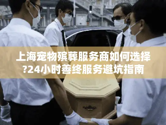上海宠物殡葬服务商如何选择?24小时善终服务避坑指南