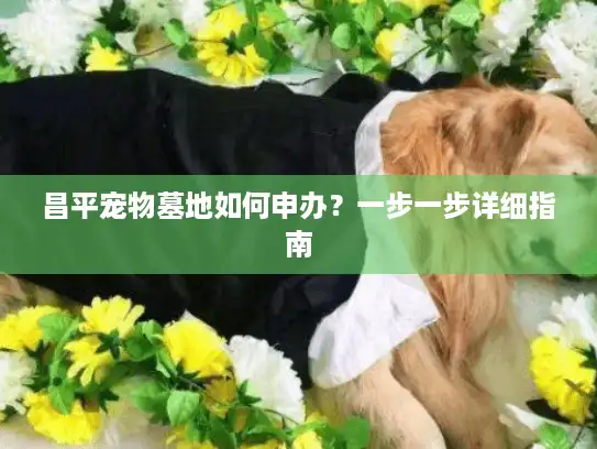 昌平宠物墓地如何申办？一步一步详细指南