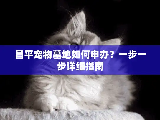 昌平宠物墓地如何申办？一步一步详细指南