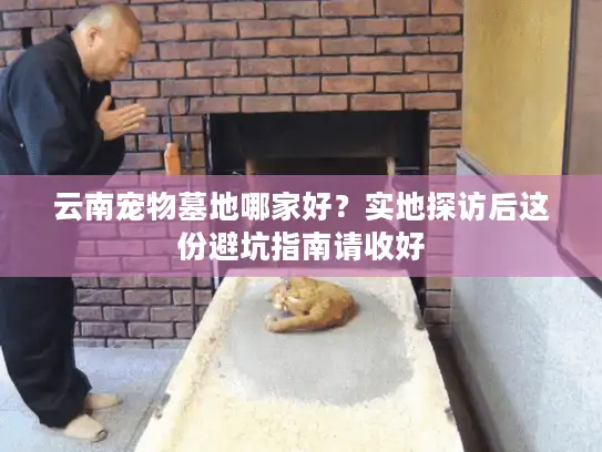 云南宠物墓地哪家好？实地探访后这份避坑指南请收好