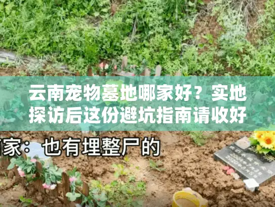 云南宠物墓地哪家好？实地探访后这份避坑指南请收好