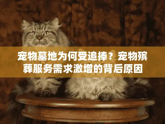 宠物墓地为何受追捧？宠物殡葬服务需求激增的背后原因
