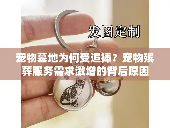 宠物墓地为何受追捧？宠物殡葬服务需求激增的背后原因