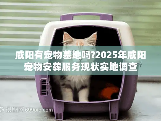 咸阳有宠物墓地吗?2025年咸阳宠物安葬服务现状实地调查
