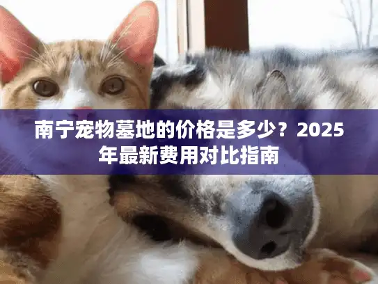 南宁宠物墓地的价格是多少？2025年最新费用对比指南
