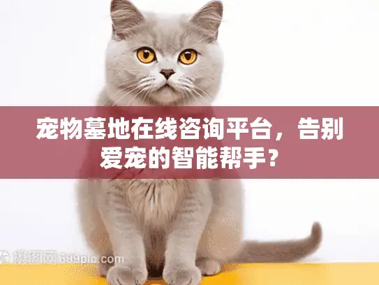 宠物墓地在线咨询平台，告别爱宠的智能帮手？