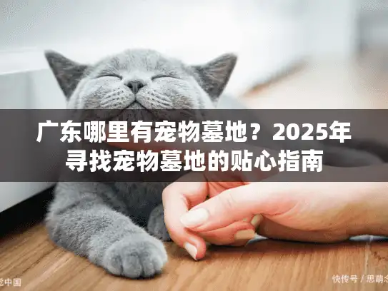 广东哪里有宠物墓地？2025年寻找宠物墓地的贴心指南