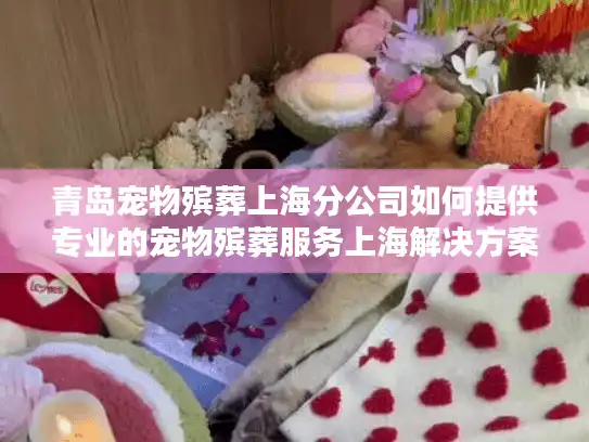 青岛宠物殡葬上海分公司如何提供专业的宠物殡葬服务上海解决方案？