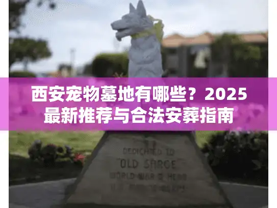 西安宠物墓地有哪些？2025最新推荐与合法安葬指南