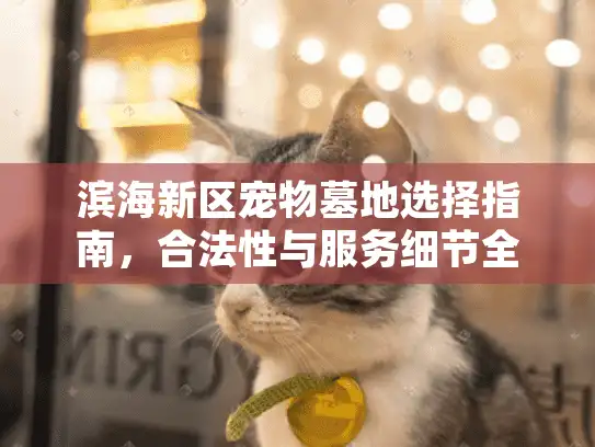 滨海新区宠物墓地选择指南，合法性与服务细节全解析