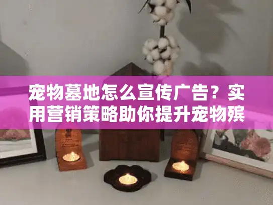 宠物墓地怎么宣传广告？实用营销策略助你提升宠物殡葬服务曝光率