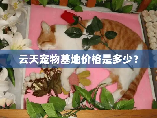 云天宠物墓地价格是多少？