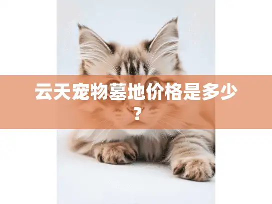 云天宠物墓地价格是多少？