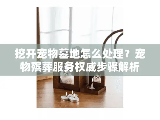 挖开宠物墓地怎么处理？宠物殡葬服务权威步骤解析
