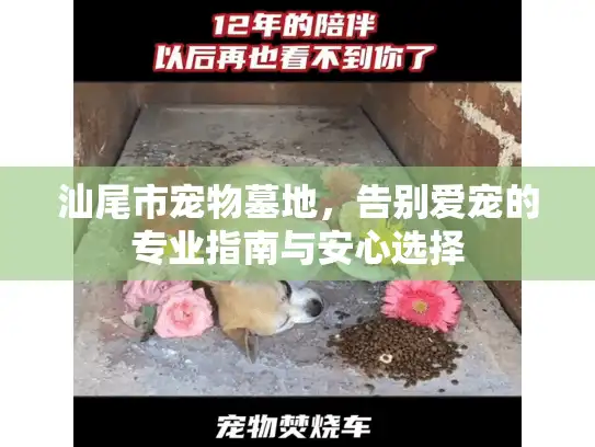 汕尾市宠物墓地，告别爱宠的专业指南与安心选择