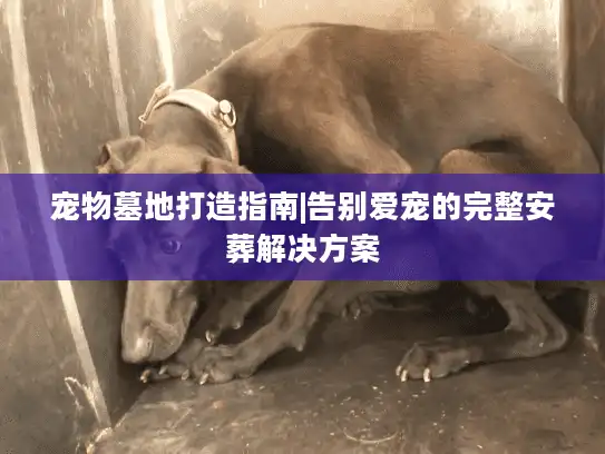 宠物墓地打造指南|告别爱宠的完整安葬解决方案