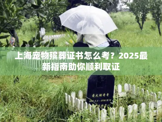 上海宠物殡葬证书怎么考？2025最新指南助你顺利取证