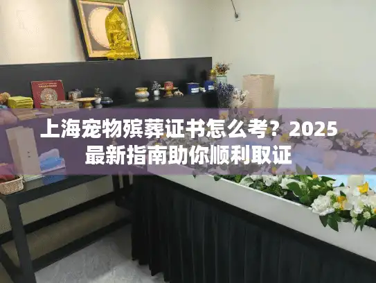 上海宠物殡葬证书怎么考？2025最新指南助你顺利取证