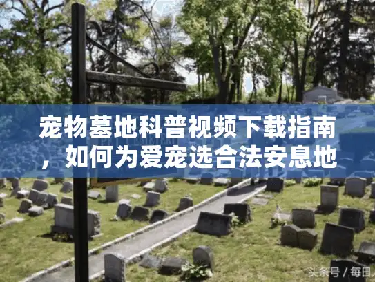 宠物墓地科普视频下载指南，如何为爱宠选合法安息地