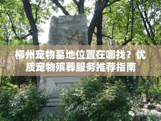 柳州宠物墓地位置在哪找？优质宠物殡葬服务推荐指南