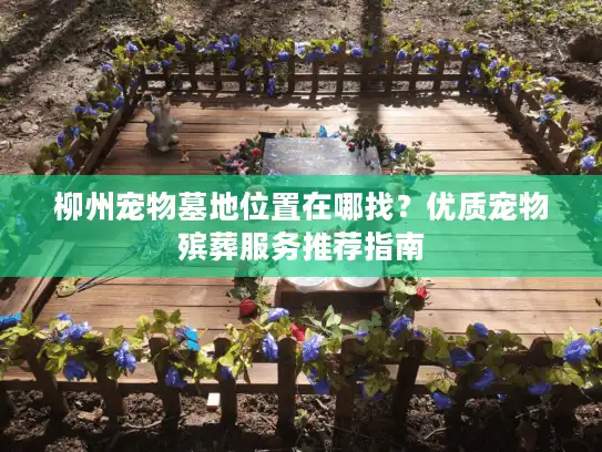柳州宠物墓地位置在哪找？优质宠物殡葬服务推荐指南