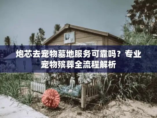 炮芯去宠物墓地服务可靠吗？专业宠物殡葬全流程解析